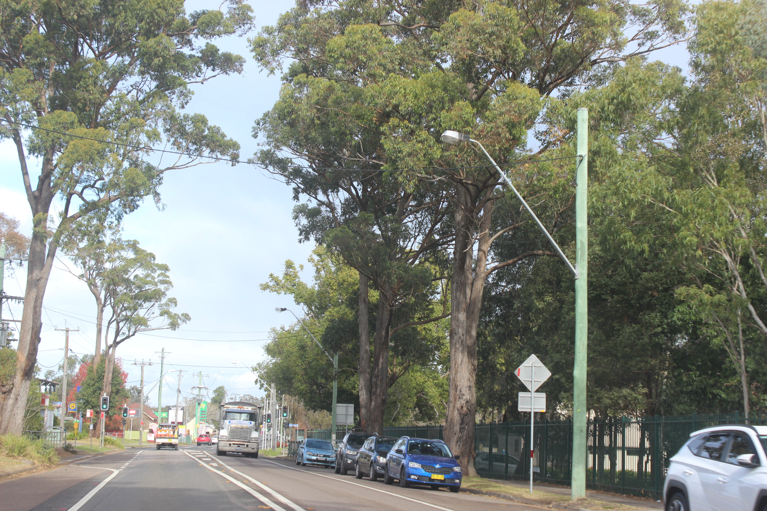 Federation Chamber - PRIVATE MEMBERS' BUSINESS - Road Safety Main Image