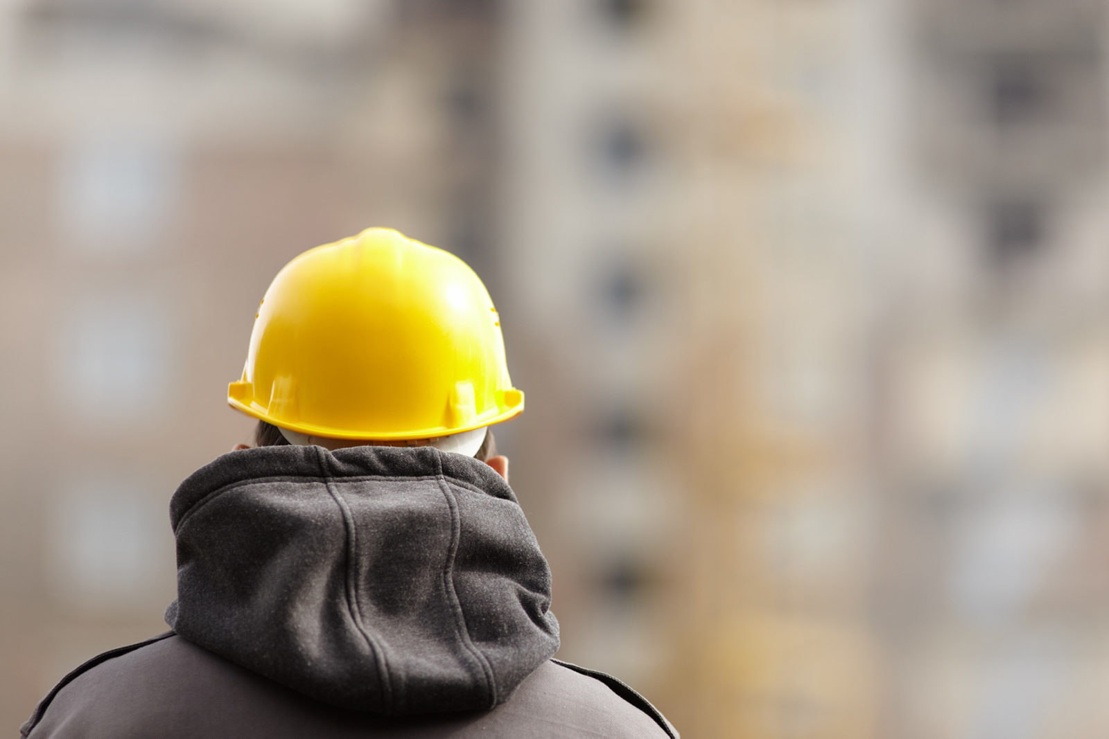 SOCIAL HOUSING REPAIR PROGRAM TO  KEEP TRADIES WORKING IN MACARTHUR Main Image