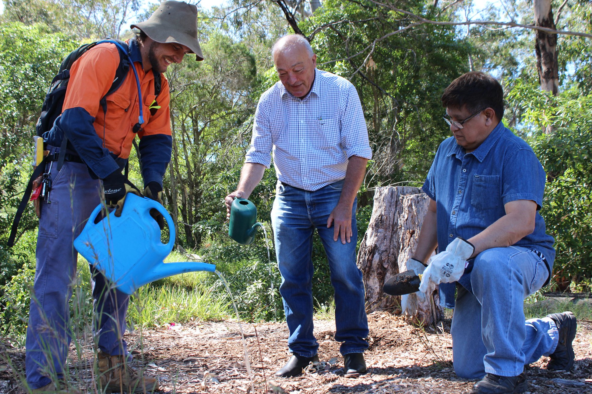 Planting Trees for The Queen’s Jubilee Program  Main Image