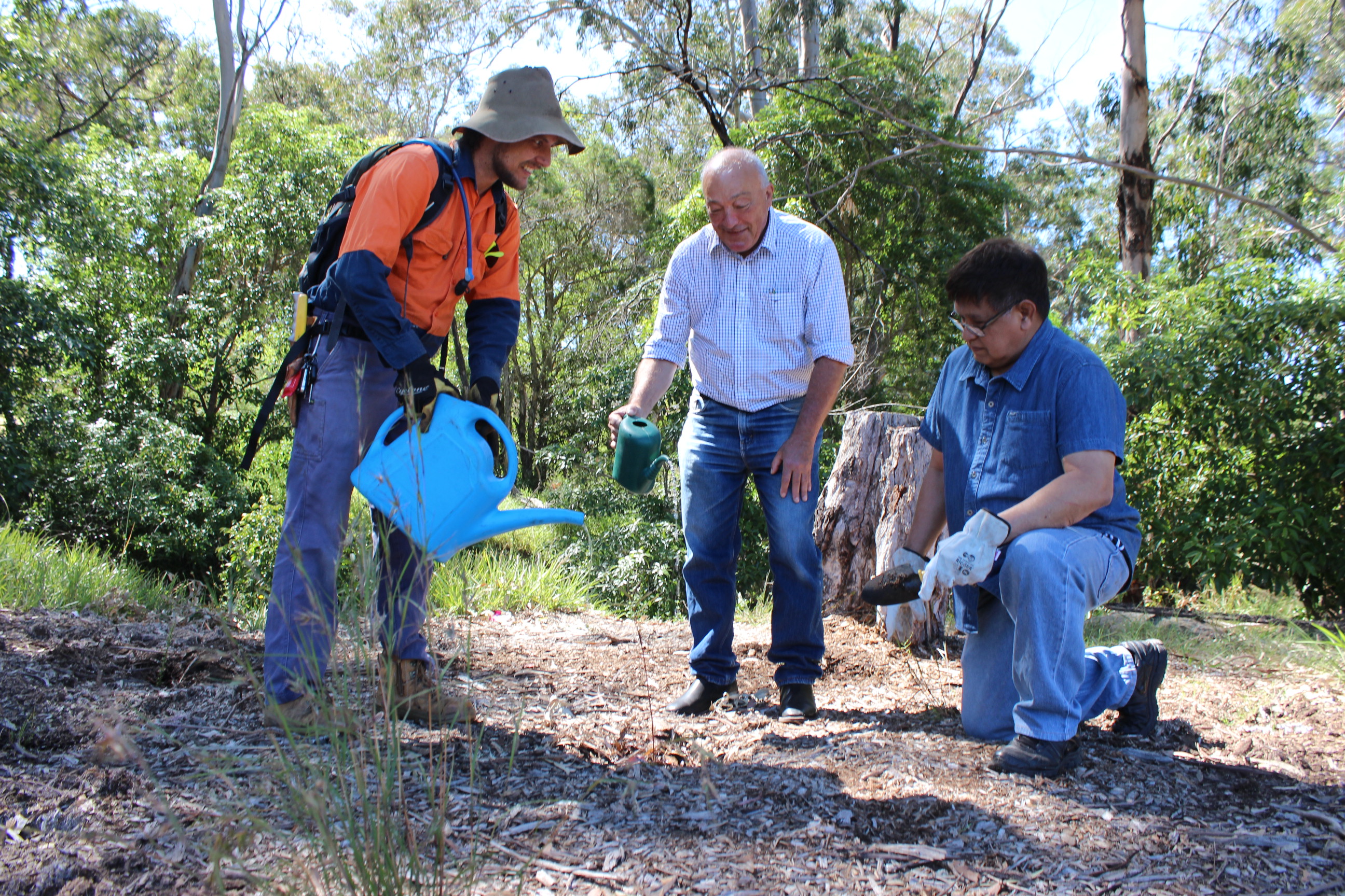 Federation Chamber - CONSTITUENCY STATEMENTS - Queen's Commonwealth Canopy, Macarthur Electorate: Infrastructure Main Image